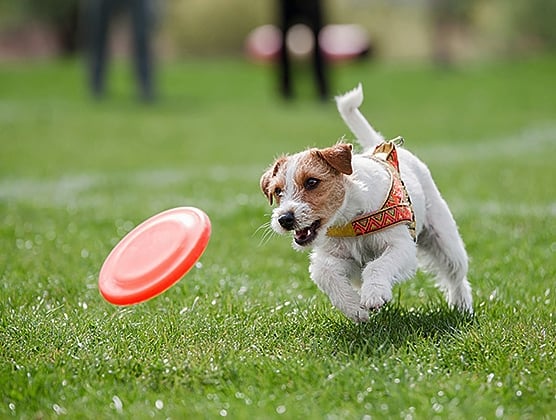 Experience Scottsdale 17