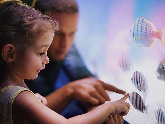 Experience Scottsdale 12