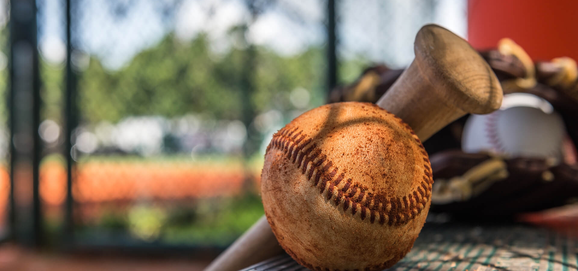 Baseball Cactus League Spring Training