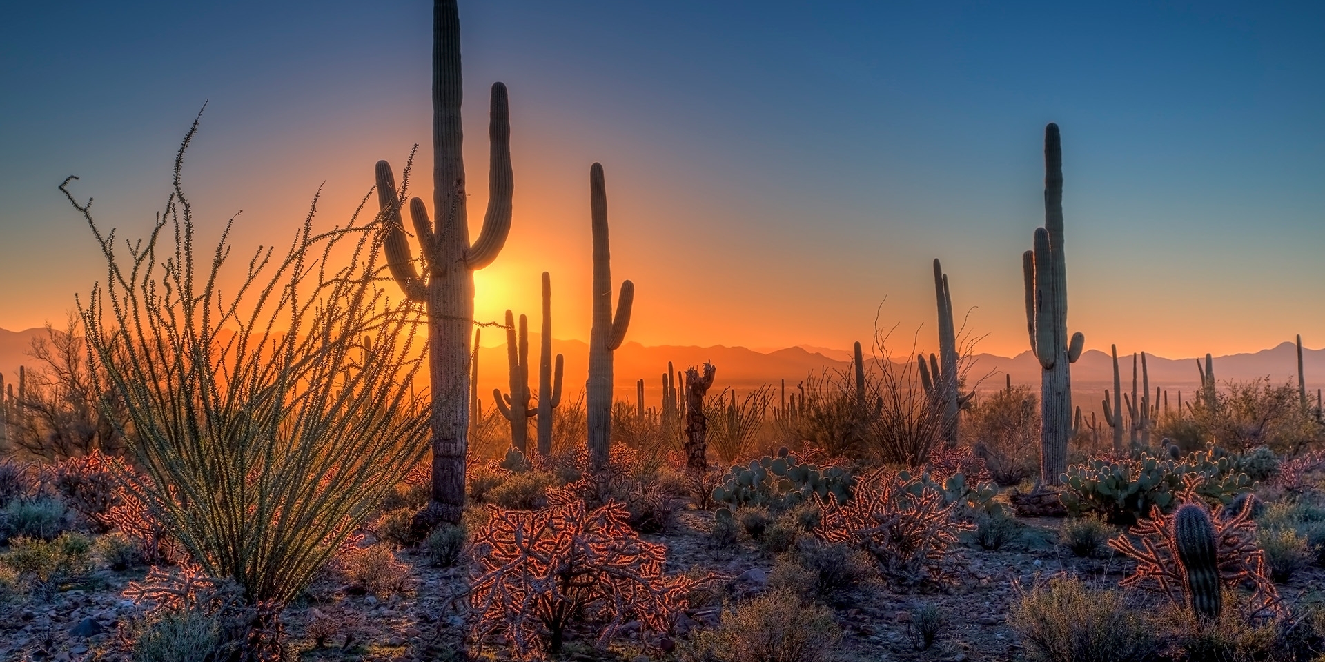 Image of the desert at night
