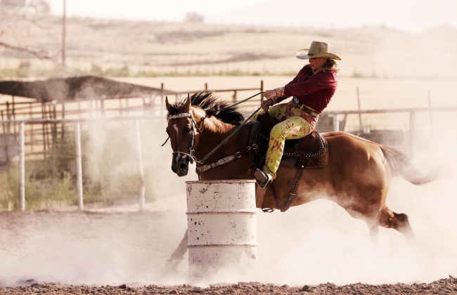 Parada del Sol Rodeo