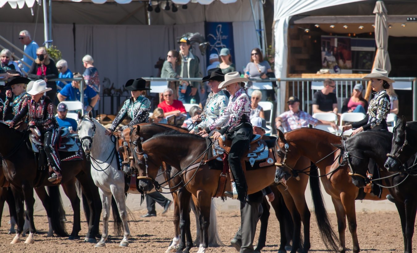 American Cup Championship Arabian Horse Show