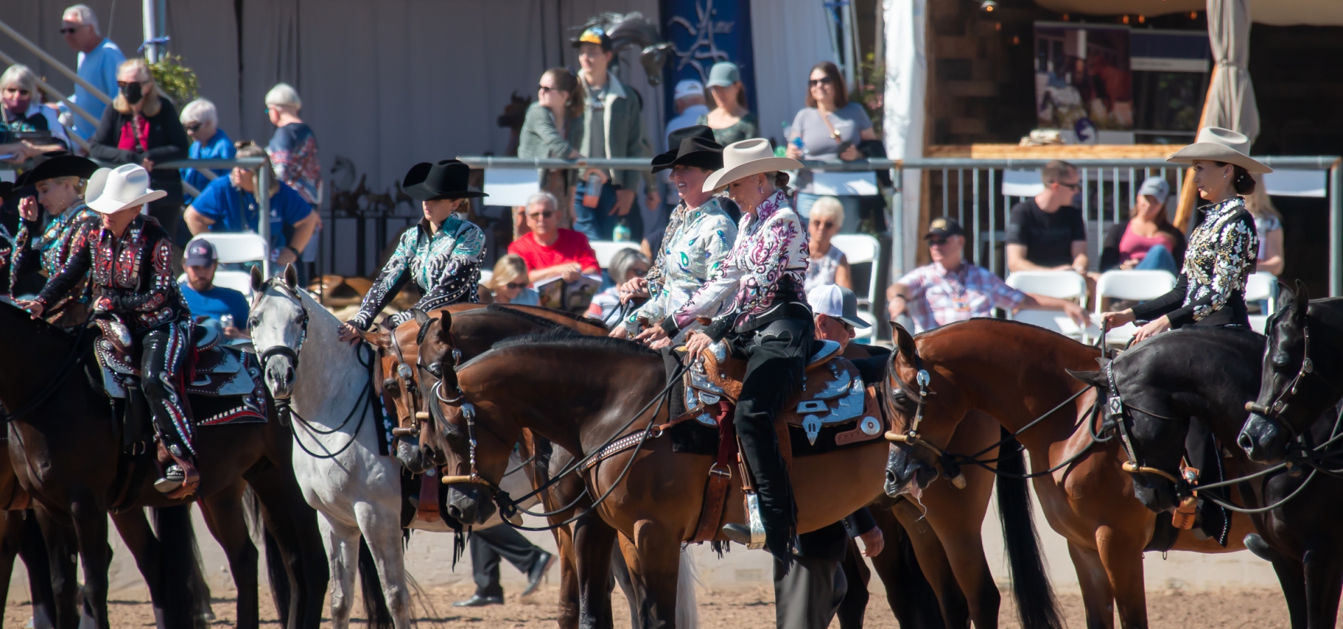 American Cup Championship Arabian Horse Show