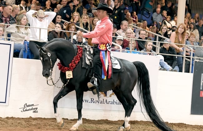Scottsdale Arabian Horse Show