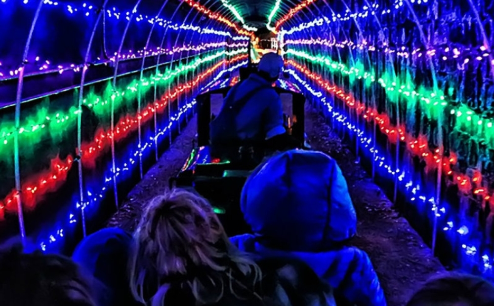 Holiday Lights