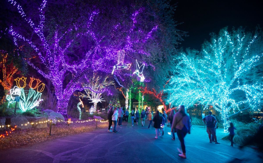 ZooLights Trees